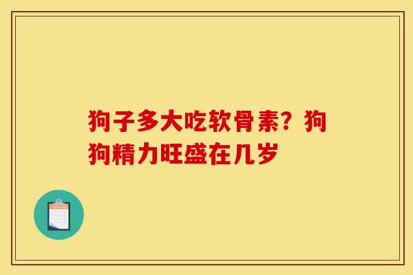 狗子多大吃软骨素？狗狗精力旺盛在几岁