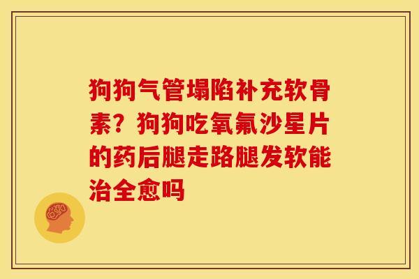 狗狗气管塌陷补充软骨素？狗狗吃氧氟沙星片的药后腿走路腿发软能治全愈吗