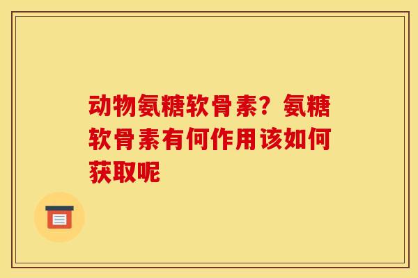 动物氨糖软骨素？氨糖软骨素有何作用该如何获取呢