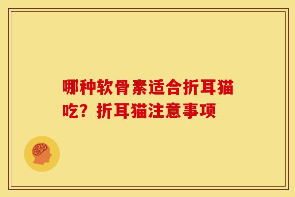 哪种软骨素适合折耳猫吃？折耳猫注意事项