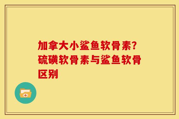 加拿大小鲨鱼软骨素？硫磺软骨素与鲨鱼软骨区别