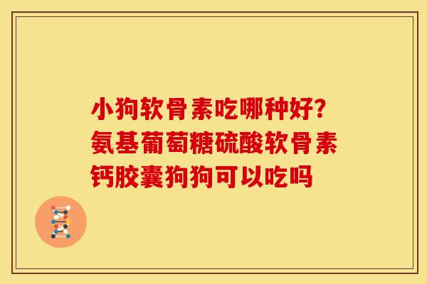 小狗软骨素吃哪种好？氨基葡萄糖硫酸软骨素钙胶囊狗狗可以吃吗