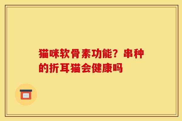 猫咪软骨素功能？串种的折耳猫会健康吗