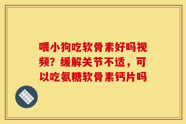 喂小狗吃软骨素好吗视频？缓解关节不适，可以吃氨糖软骨素钙片吗