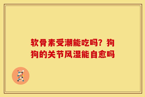 软骨素受潮能吃吗？狗狗的关节风湿能自愈吗