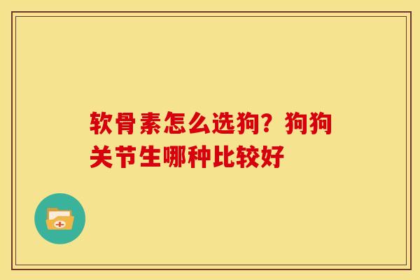 软骨素怎么选狗？狗狗关节生哪种比较好
