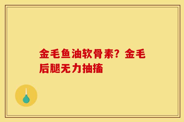 金毛鱼油软骨素？金毛后腿无力抽搐