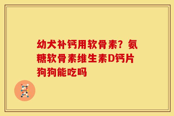 幼犬补钙用软骨素？氨糖软骨素维生素D钙片狗狗能吃吗