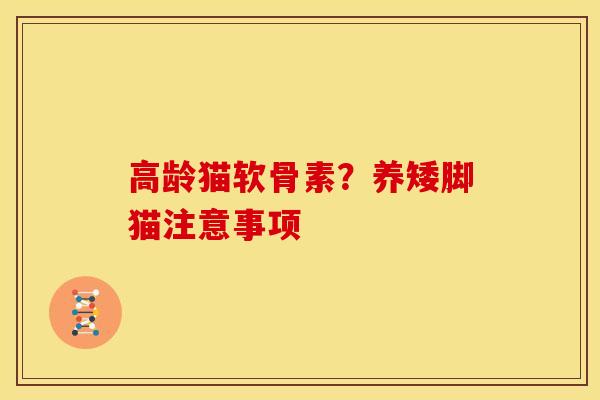 高龄猫软骨素？养矮脚猫注意事项