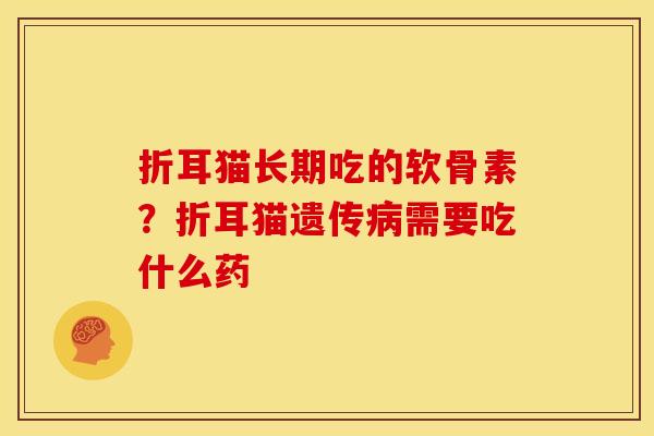 折耳猫长期吃的软骨素？折耳猫遗传病需要吃什么药