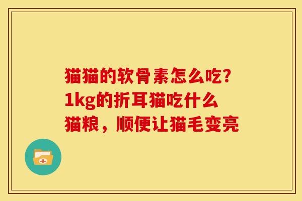 猫猫的软骨素怎么吃？1kg的折耳猫吃什么猫粮，顺便让猫毛变亮