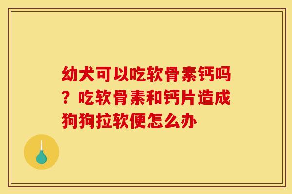 幼犬可以吃软骨素钙吗？吃软骨素和钙片造成狗狗拉软便怎么办