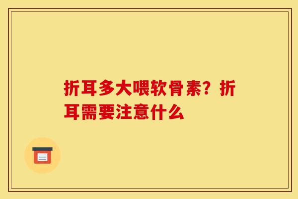 折耳多大喂软骨素？折耳需要注意什么