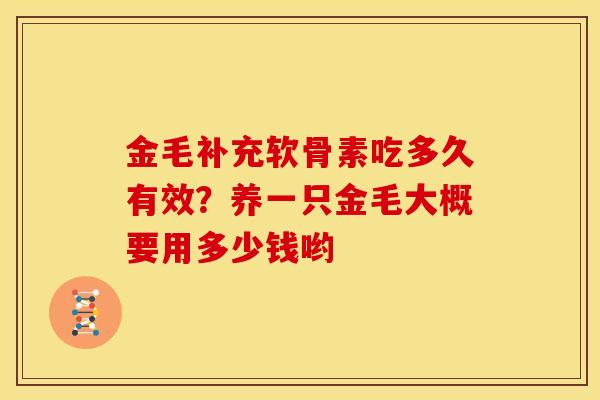 金毛补充软骨素吃多久有效？养一只金毛大概要用多少钱哟