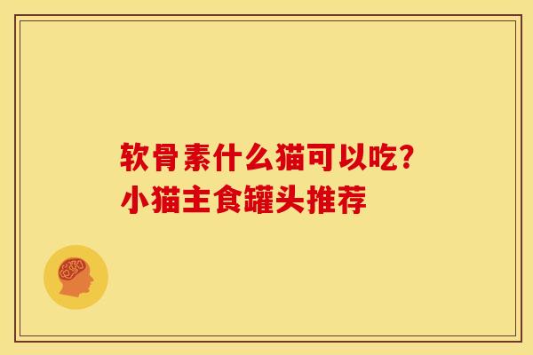 软骨素什么猫可以吃？小猫主食罐头推荐