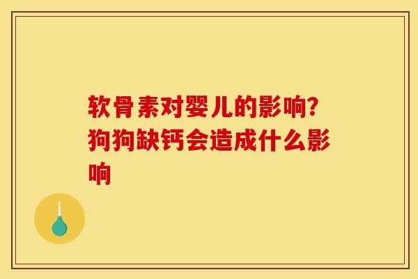 软骨素对婴儿的影响？狗狗缺钙会造成什么影响