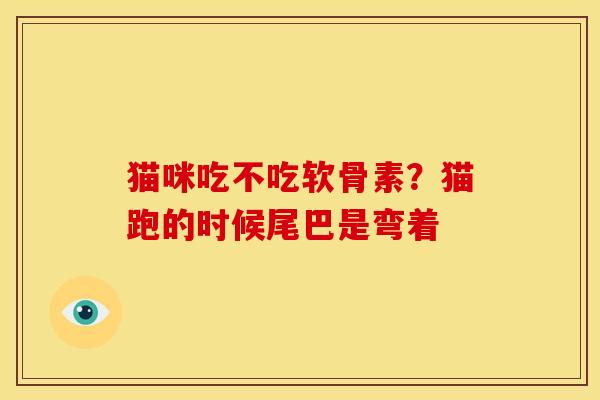 猫咪吃不吃软骨素？猫跑的时候尾巴是弯着