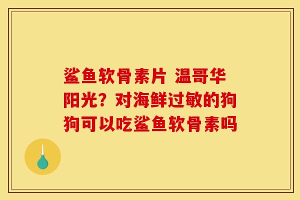 鲨鱼软骨素片 温哥华阳光？对海鲜过敏的狗狗可以吃鲨鱼软骨素吗