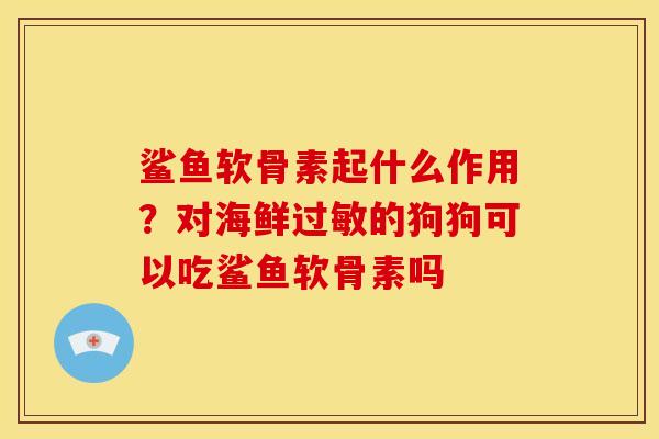 鲨鱼软骨素起什么作用？对海鲜过敏的狗狗可以吃鲨鱼软骨素吗