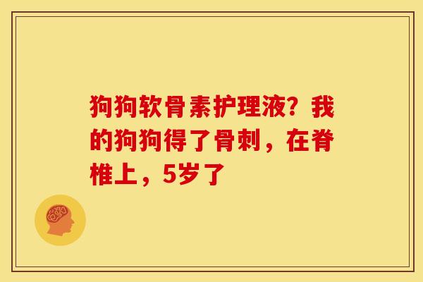 狗狗软骨素护理液？我的狗狗得了骨刺，在脊椎上，5岁了