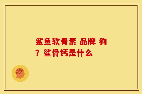 鲨鱼软骨素 品牌 狗？鲨骨钙是什么