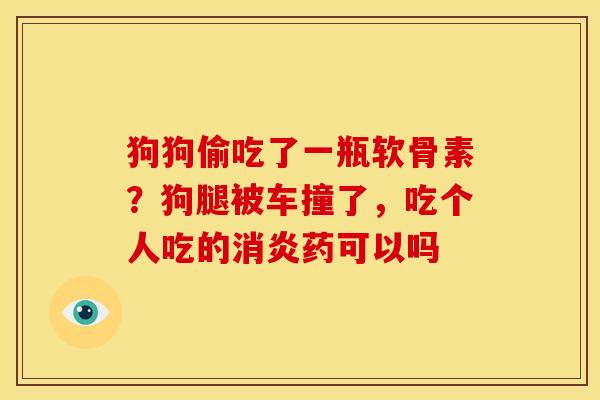 狗狗偷吃了一瓶软骨素？狗腿被车撞了，吃个人吃的消炎药可以吗