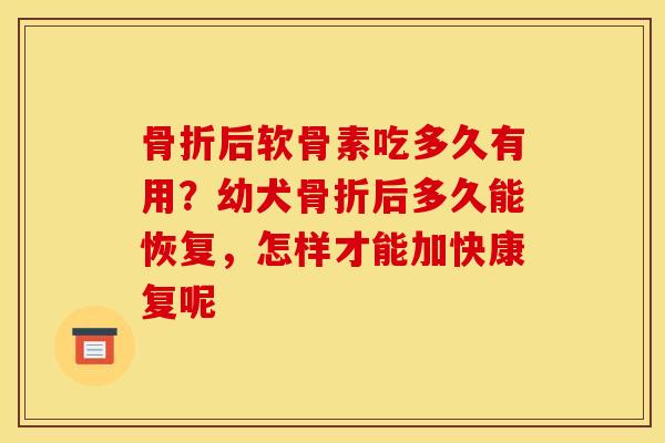 骨折后软骨素吃多久有用？幼犬骨折后多久能恢复，怎样才能加快康复呢