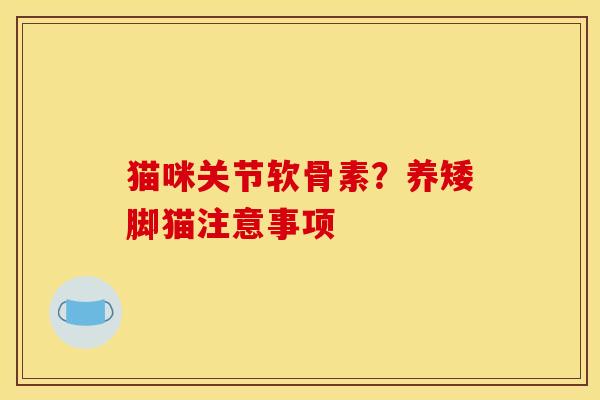 猫咪关节软骨素？养矮脚猫注意事项