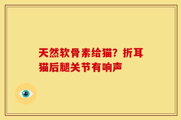 天然软骨素给猫？折耳猫后腿关节有响声