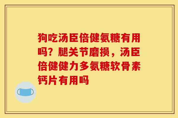 狗吃汤臣倍健氨糖有用吗？腿关节磨损，汤臣倍健健力多氨糖软骨素钙片有用吗