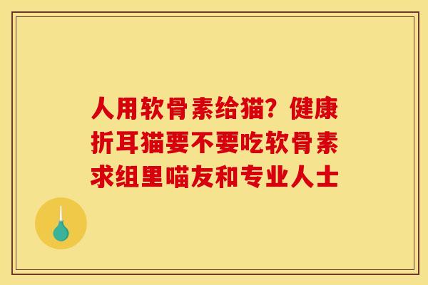 人用软骨素给猫？健康折耳猫要不要吃软骨素求组里喵友和专业人士