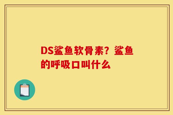 DS鲨鱼软骨素？鲨鱼的呼吸口叫什么