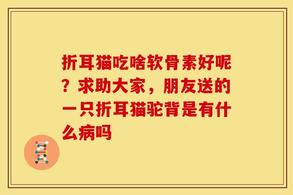 折耳猫吃啥软骨素好呢？求助大家，朋友送的一只折耳猫驼背是有什么病吗