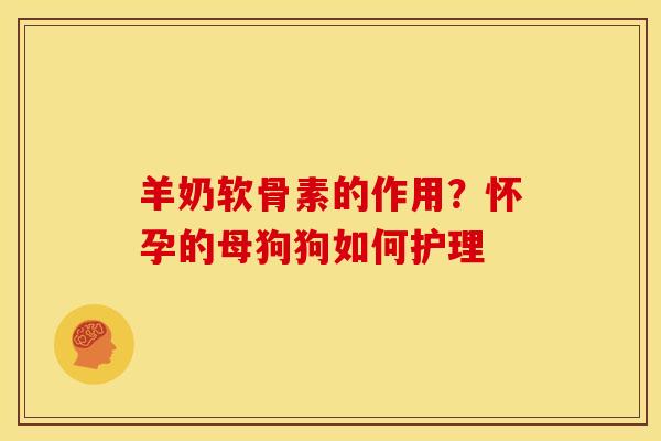 羊奶软骨素的作用？怀孕的母狗狗如何护理