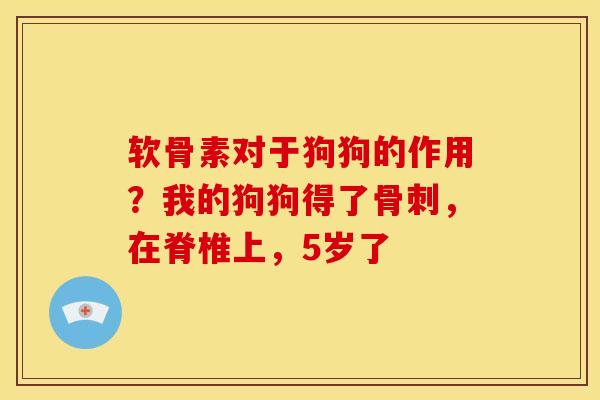 软骨素对于狗狗的作用？我的狗狗得了骨刺，在脊椎上，5岁了