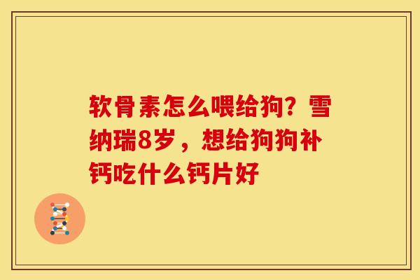 软骨素怎么喂给狗？雪纳瑞8岁，想给狗狗补钙吃什么钙片好