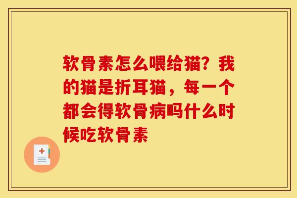 软骨素怎么喂给猫？我的猫是折耳猫，每一个都会得软骨病吗什么时候吃软骨素