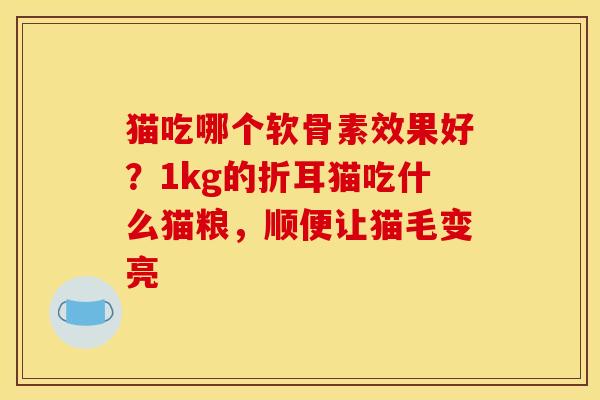 猫吃哪个软骨素效果好？1kg的折耳猫吃什么猫粮，顺便让猫毛变亮