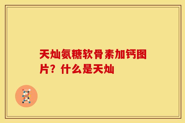 天灿氨糖软骨素加钙图片？什么是天灿