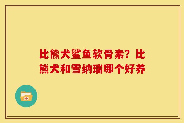 比熊犬鲨鱼软骨素？比熊犬和雪纳瑞哪个好养
