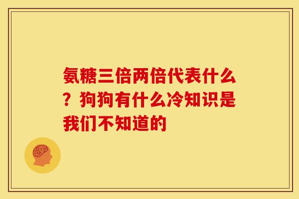 氨糖三倍两倍代表什么？狗狗有什么冷知识是我们不知道的