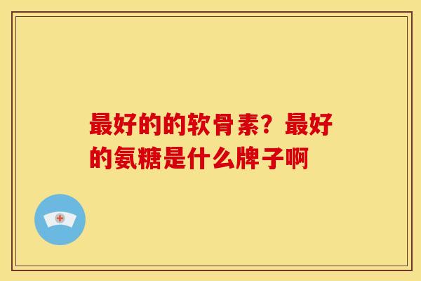 最好的的软骨素？最好的氨糖是什么牌子啊