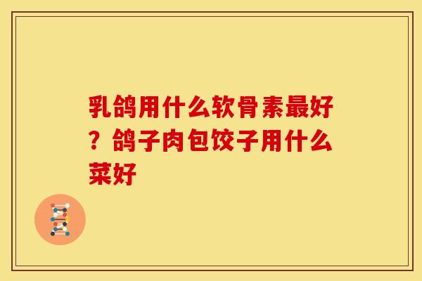乳鸽用什么软骨素最好？鸽子肉包饺子用什么菜好