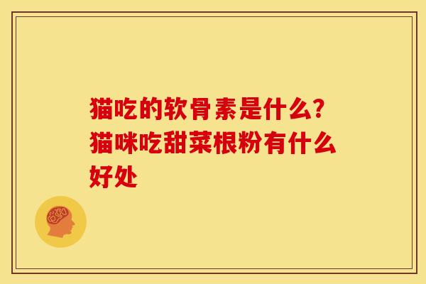 猫吃的软骨素是什么？猫咪吃甜菜根粉有什么好处