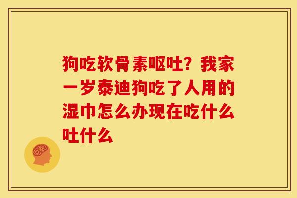 狗吃软骨素呕吐？我家一岁泰迪狗吃了人用的湿巾怎么办现在吃什么吐什么