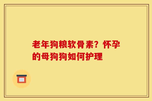 老年狗粮软骨素？怀孕的母狗狗如何护理