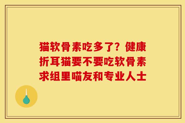 猫软骨素吃多了？健康折耳猫要不要吃软骨素求组里喵友和专业人士
