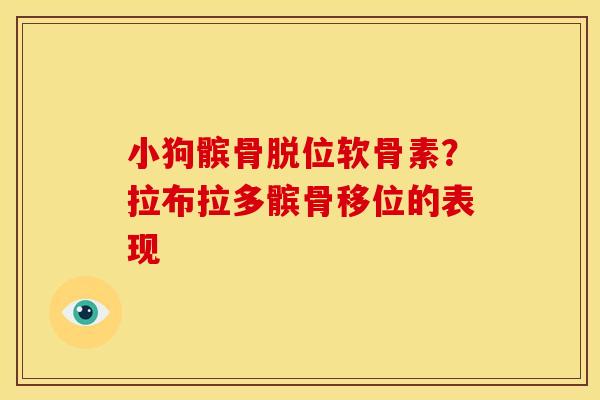 小狗髌骨脱位软骨素？拉布拉多髌骨移位的表现