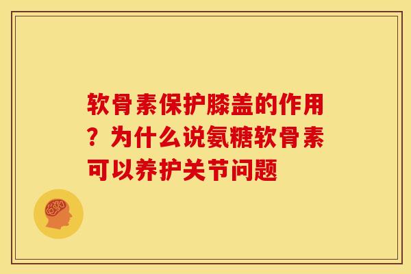 软骨素保护膝盖的作用？为什么说氨糖软骨素可以养护关节问题