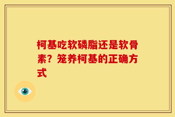 柯基吃软磷脂还是软骨素？笼养柯基的正确方式
